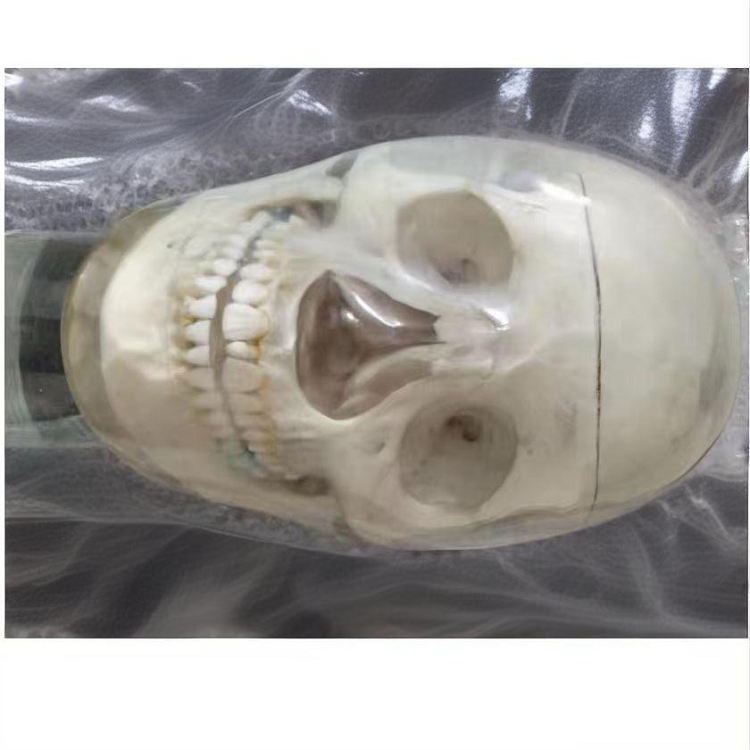 高級仿頭模系統